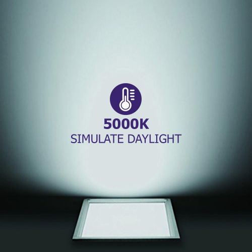  Worldwide Lighting FPL22-3500-32W-2PC 2x2 FT LED Flat Panel Light, 32W 3500K Edge-Lit Troffer Light Fixture, 0-10V Dimmable, 4160 Lumens, 2 Pack