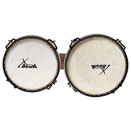  [아마존베스트]XDrum Bongo Club Standard 15.2cm/6inches Macho/17.7cm (7inches) HEMBRA Wooden Tobacco Percussion Natural Hide Drum