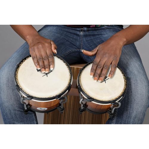  [아마존베스트]XDrum Bongo Pro Tobacco SET incl. Bongo carrying bag