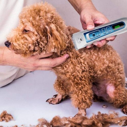  XJ Professional Animal Grooming/Pet Scissors, LCD Digital Direct Charge, Base Charging Pet Hair Clipper/Low Noise/Cordless for Dogs, Cats and Other Pets