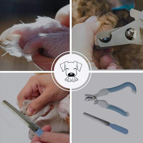  XJ Professional Animal Grooming/Pet Scissors, LCD Digital Direct Charge, Base Charging Pet Hair Clipper/Low Noise/Cordless for Dogs, Cats and Other Pets