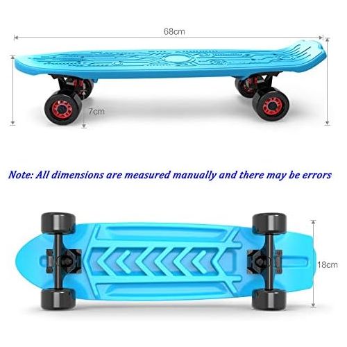  XYUJIE Skateboard Flash Grosse Runde Anfanger Jugend Erwachsene Vier Runde Grosse Fischplatte Pinsel Street Travel