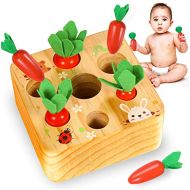 Y YOFUN YOFUN Montessori Toys?for Toddler?- Carrot Harvest Wooden Matching Puzzle, Shape & Size Sorting Games for Developing Fine Motor Skill,?Educational Gift for Baby Boys Girls, Made of