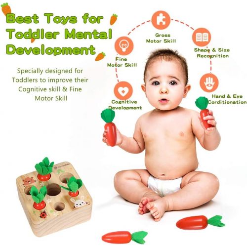  Y YOFUN YOFUN Montessori Toys?for Toddler?- Carrot Harvest Wooden Matching Puzzle, Shape & Size Sorting Games for Developing Fine Motor Skill,?Educational Gift for Baby Boys Girls, Made of