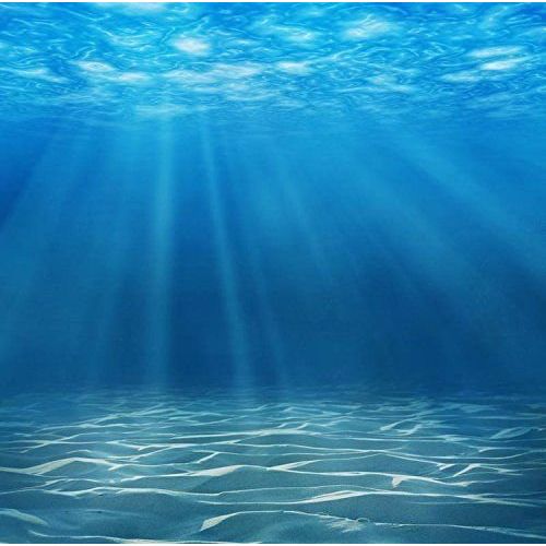  YAME 8x8ft Vinyl Deepwater Undersea Underwater Photography Backdrop Background