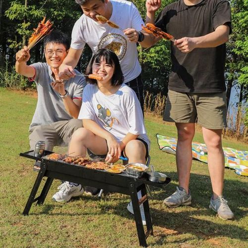  YCDJCS Outdoor Barbecue Household Charcoal Barbecue Utensils Barbecue Stove Small Smokeless Brazier Folding Portable Installation-Free Barbecue Grill Camping Grills (Color : Black,