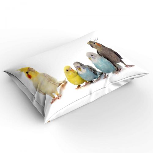  YEHO Art Gallery Luxury 4 Piece Duvet Cover Set Comfort Bedding Set,Colorful Parrot Birds Animal Pattern Bed Sheet Set for Girls Boys,Include 1 Duvet Cover 1 Bed Sheet 2 Pillow Cas