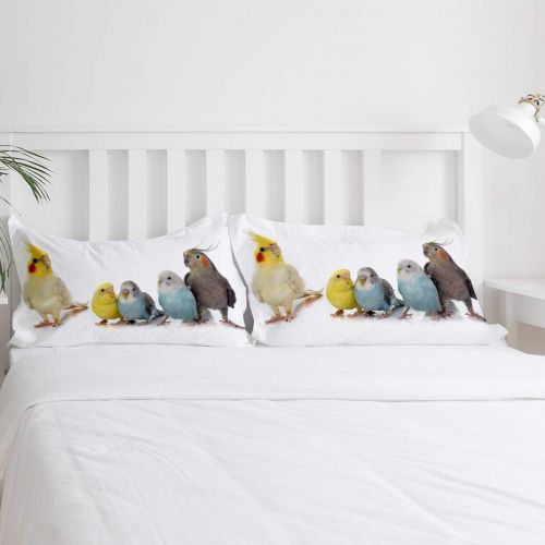  YEHO Art Gallery Luxury 4 Piece Duvet Cover Set Comfort Bedding Set,Colorful Parrot Birds Animal Pattern Bed Sheet Set for Girls Boys,Include 1 Duvet Cover 1 Bed Sheet 2 Pillow Cas