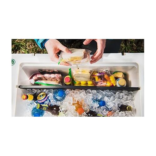 예티 YETI Tundra 160 Cooler Divider - Long Side