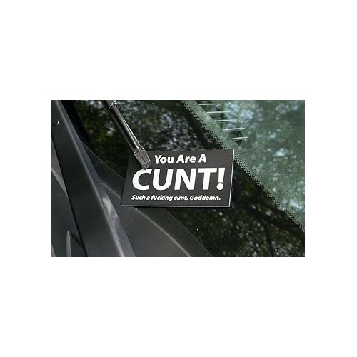 예티 Witty Yeti You Are a C**T Offensive Business Card 25 Pack. Spread Fun to Friends & Enemies Alike! Funny Gag Gift, Prank & Joke for Fraternities, Naughty Adults Against Humanity & Dirty Santa Parties