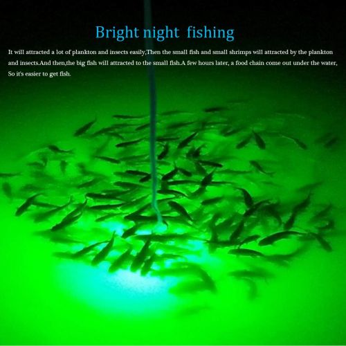  YIDAZN Underwater Fishing Light 2th Generation 12V 100W Super Bright LED 8000LM, Double Colour Switch(Green or White) Night Fishing Finder, Fishing Attracting, IP68 Led Underwater