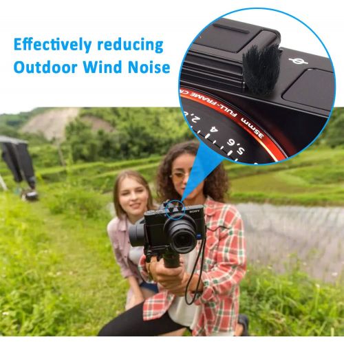  [아마존베스트]Camera Mic Windscreen, 10 PCS Fur Wind Muff Wind Cover for Sony RX1 RX10 RX100 Digital Compact Cameras Built-in Microphone Outdoor Wind Filter by YOUSHARES