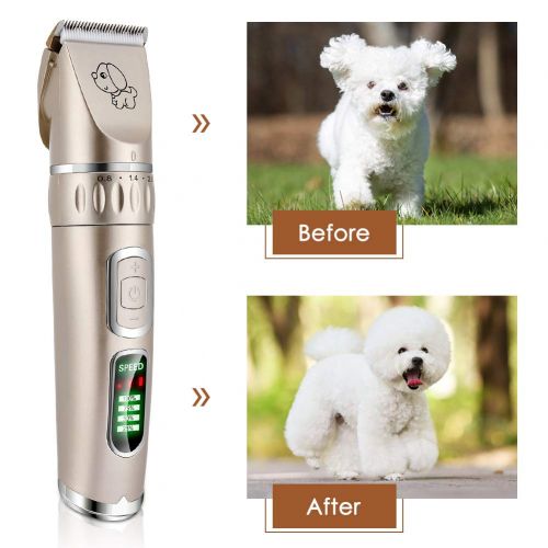  [아마존 핫딜]  [아마존핫딜]YOUTHINK Tierhaarschneider Kit 5-Geschwindigkeit Elektrische Hundeschermaschine Hunde Katzen Drahtlose Wiederaufladbare Tierhaartrimmer Ultra Leise Haarschneidemaschine Haustier Haarschneid