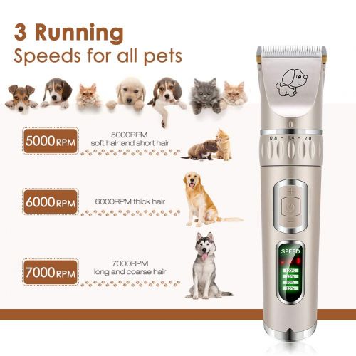  [아마존 핫딜]  [아마존핫딜]YOUTHINK Tierhaarschneider Kit 5-Geschwindigkeit Elektrische Hundeschermaschine Hunde Katzen Drahtlose Wiederaufladbare Tierhaartrimmer Ultra Leise Haarschneidemaschine Haustier Haarschneid