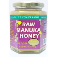 Raw Manuka Honey YS Eco Bee Farms 12 oz Paste