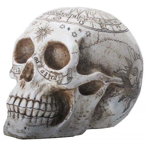  YTC Summit International Carved Design Astrology Symbols Human Skull Head Halloween Figurine Decoration