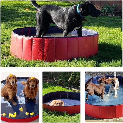  Yaheetech Hard Plastic Foldable Pet Bath Pool Collapsible Large Dog Pet Pool Bathing Swimming Tub Kiddie Baby Pool for Large Dogs Cats and Kids, 63inch.D x 12inch. H, Red