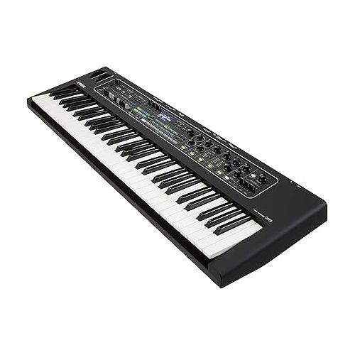 야마하 Yamaha CK Series 61-Key Stage Keyboard with Built-In Speakers, Black (CK61)