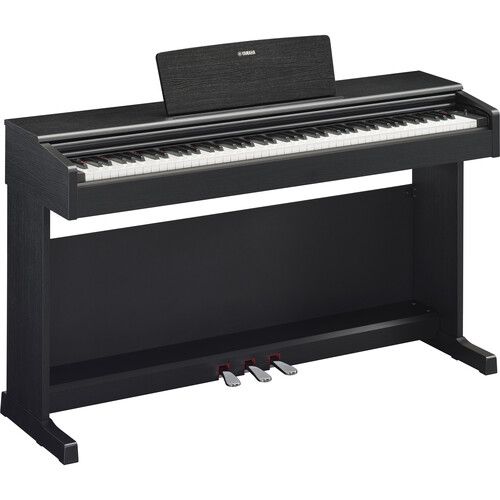 야마하 Yamaha ARIUS YDP-145 88-Key Console Digital Piano with Bench (Black Walnut)