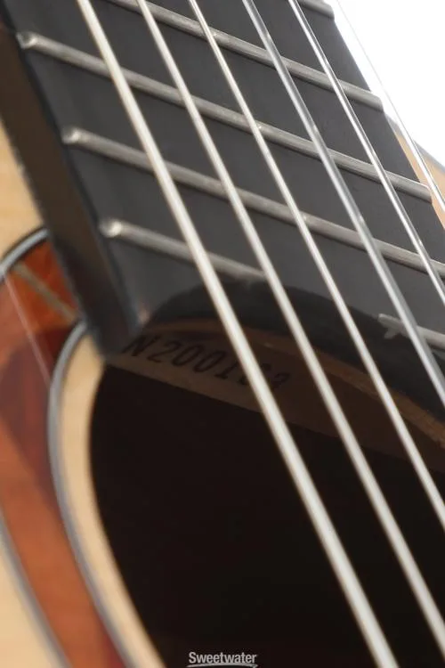 야마하 Yamaha NCX3 Acoustic/Electric Nylon String Guitar