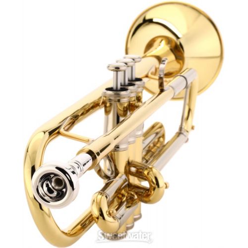 야마하 Yamaha YTR-8335IIRKG-LN Kangakki Limited Edition Xeno Trumpet