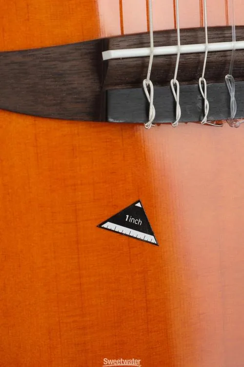 야마하 Yamaha NTX1 Nylon String Acoustic-Electric Guitar - Brown Sunburst Demo