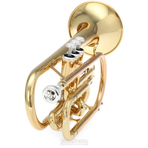 야마하 Yamaha YCR-2310III Student Cornet - Gold Lacquer