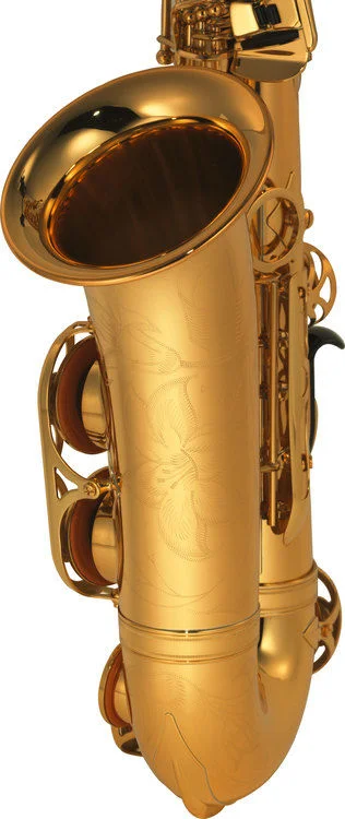 야마하 Yamaha YAS-875EXII Custom Professional Alto Saxophone - Gold Lacquer