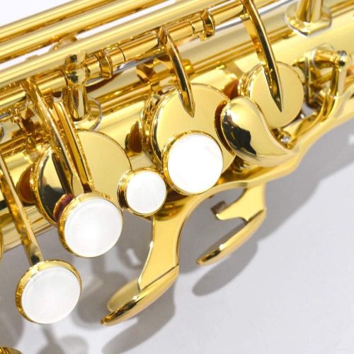 야마하 Yamaha YAS-480 Intermediate Eb Alto Saxophone, Gold Finish