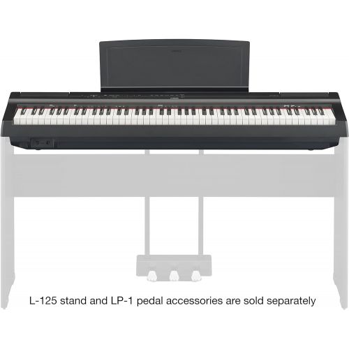 야마하 Yamaha P125 88-Key Weighted Action Digital Piano With Power Supply And Sustain Pedal, Black