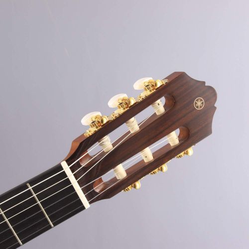 야마하 Yamaha CG162C Cedar Top Classical Guitar