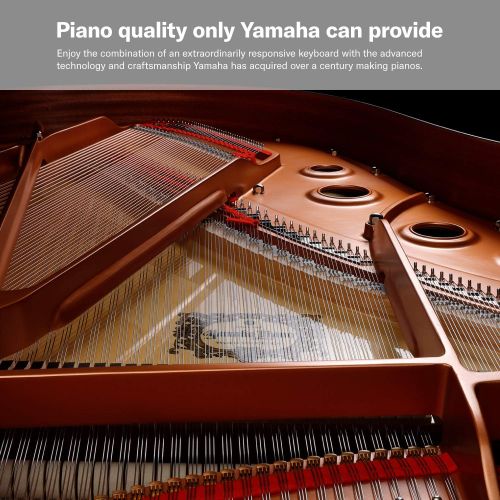 야마하 Yamaha P125 88-Key Weighted Action Digital Piano with Power Supply and Sustain Pedal, White