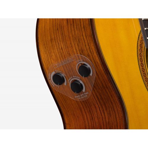 야마하 Yamaha CG-TA Nylon String TransAcoustic Guitar with Chorus and Reverb