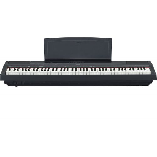 야마하 Yamaha P115 88 Weighted Key Digital Piano Bundle with Knox Double X Stand, Knox Large Bench and Sustain Pedal