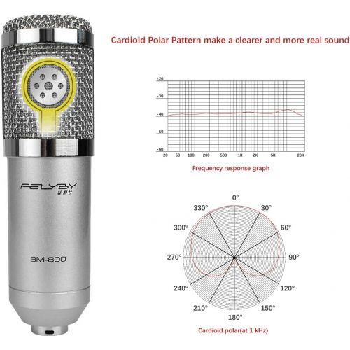  YanZhenYu Professional BM-800 | Cardioid Condenser Microphone Set with 6 Basic Accessories and A Mixer Sound Card，Luxury Kit (BM 800 black)