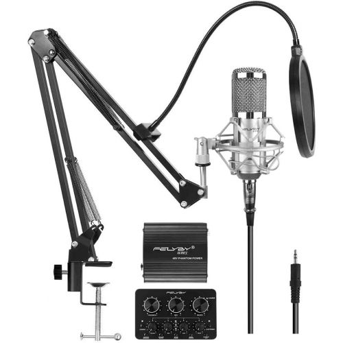  YanZhenYu Professional BM-800 | Cardioid Condenser Microphone Set with 6 Basic Accessories and A Mixer Sound Card，Luxury Kit (BM 800 black)