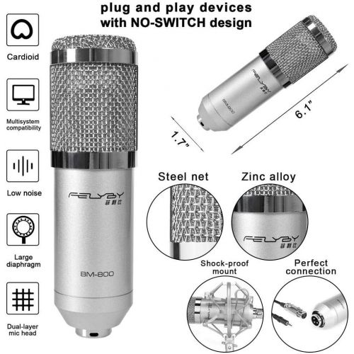  YanZhenYu Professional BM-800 | Cardioid Condenser Microphone Set with 6 Basic Accessories and A Mixer Sound Card，Luxury Kit (BM 800 black)