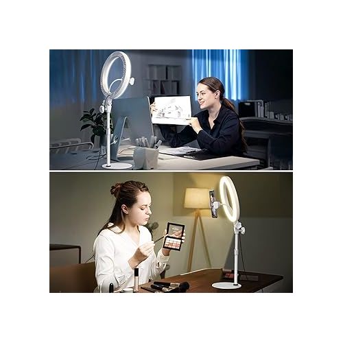  Desktop Video Conference Lighting for Computer - 10.5'' Desk Ring Light for Zoom Meeting Video Calls, Selfie Ring Light with Stand and Phone Holder for Live Streaming, Video Recording