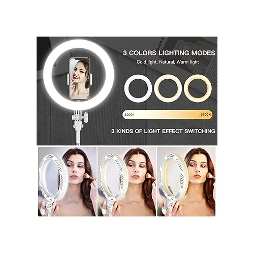  Desktop Video Conference Lighting for Computer - 10.5'' Desk Ring Light for Zoom Meeting Video Calls, Selfie Ring Light with Stand and Phone Holder for Live Streaming, Video Recording