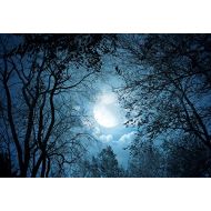 Yeele 10x8ft Forest Night View Backdrop Night Sky Moon Moonlight Tree Photography Background Pictures Baby Girl Boy Adult Portrait Photo Booth Vinyl Wallpaper Photocall Studio Prop
