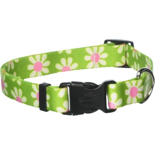  Yellow Dog Design Blue Daisy Dog Collar