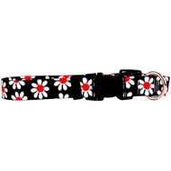 Yellow Dog Design Blue Daisy Dog Collar