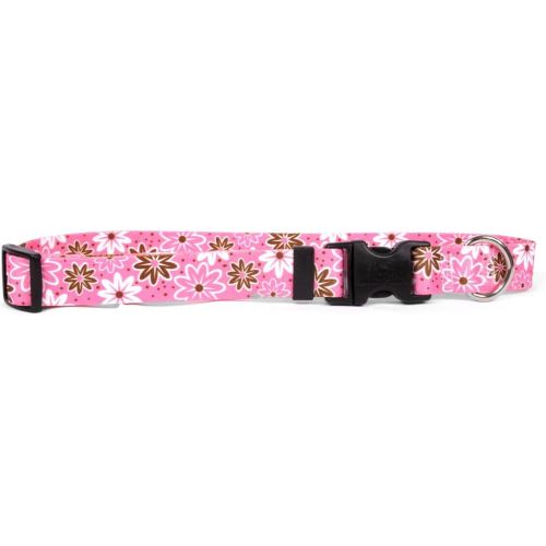  Yellow Dog Design Blue Daisy Dog Collar