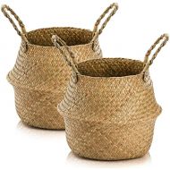 Yesland 2 Pack Woven Seagrass Plant Basket with Handles, Ideal for Storage Plant Pot Basket, Laundry, Picnic, Plant Pot Cover, Beach Bag and Grocery Basket (M)