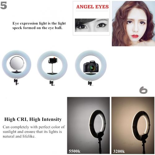  Yidoblo 96W 18 LED Ring Light Kit FE-480II Pink Video Studio Portrait Selfie Makeup YouTube Lighting Bicolor with Remote, PhoneCamera Holder, Mirror, Light Stand, Two Batteries&Ch
