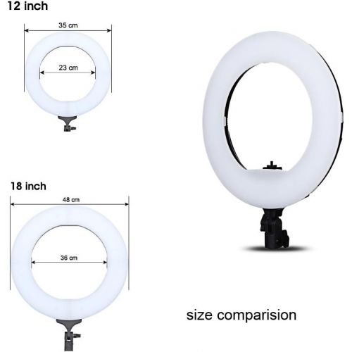  Yidoblo 12 Dimmable LED Light Ring FS-390II Kit with H Table Stand, Batteries, Chargers, Carrying Bag, Photo Holder for Portrait Selfie YouTube Photo Video Studio Photography Light