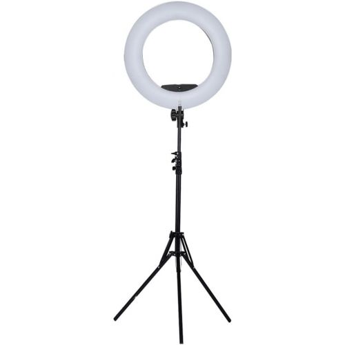  Yidoblo 12 Dimmable LED Light Ring FS-390II Kit with H Table Stand, Carrying Bag, Photo Holder for Portrait Selfie YouTube Photo Video Studio Photography Lighting