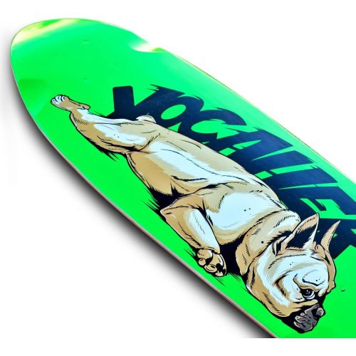  Yocaher Mini Cruiser Graphic Longboard Skateboard 27“ x 8 Deck - Lazy French Bulldog
