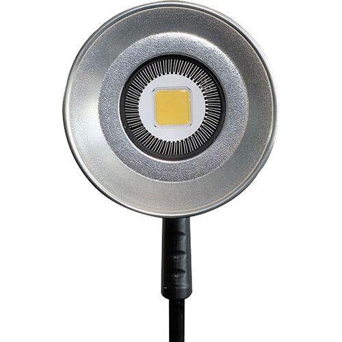  Yongnuo YN100 LED Sun Light