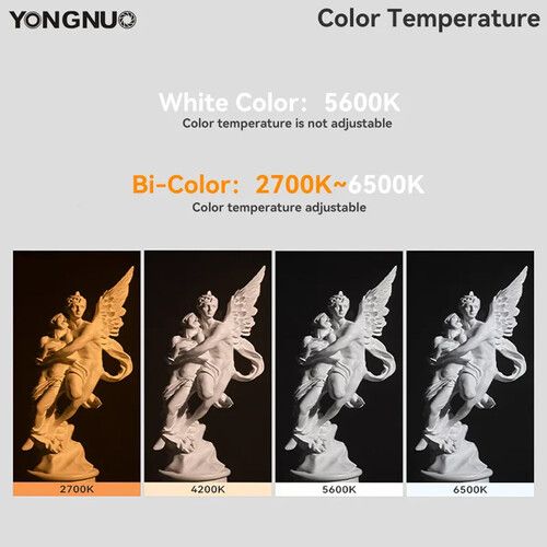 Yongnuo LUX200 Handheld Bi-Color LED Monolight Kit (White)